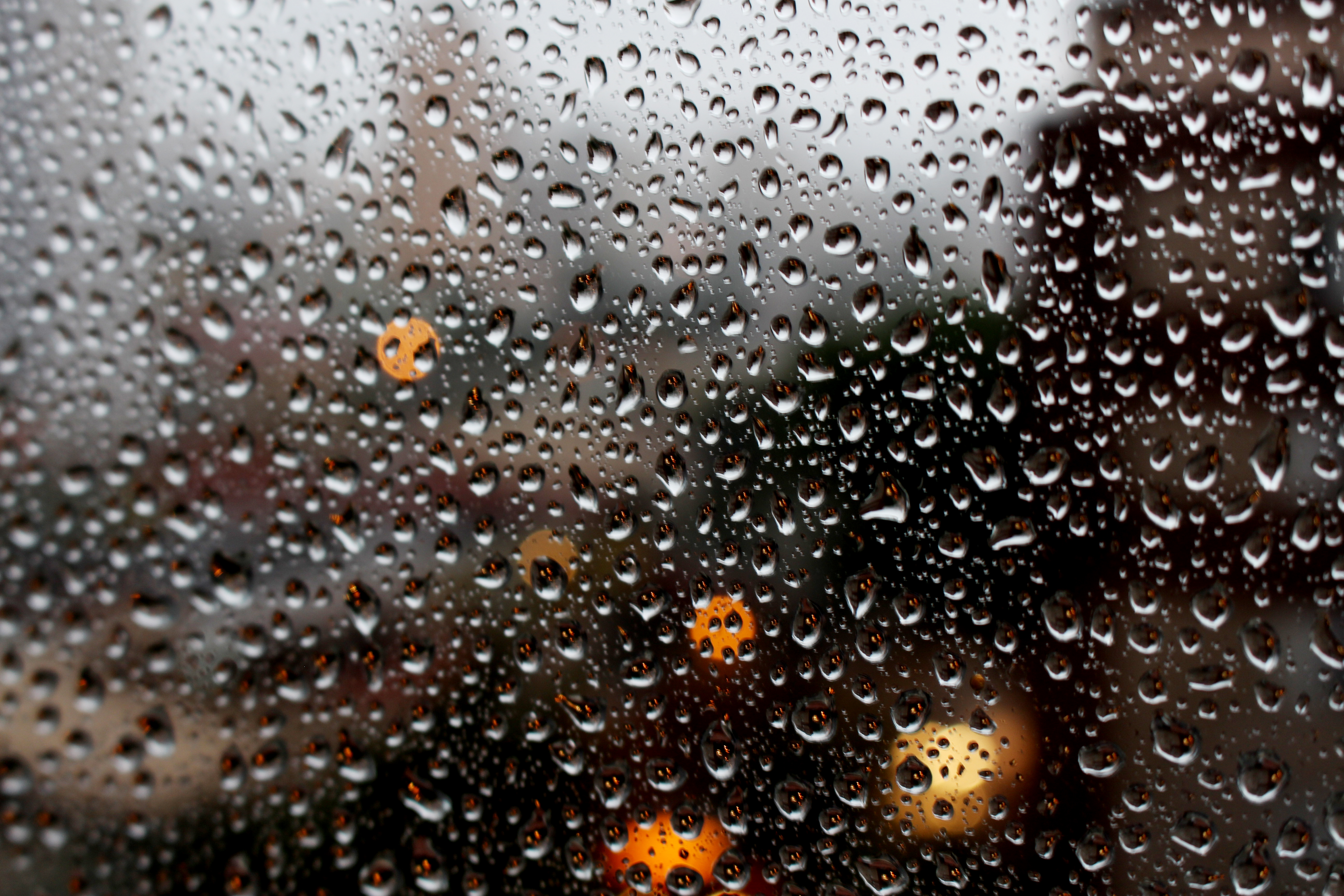 Canva - Full Frame Shot of Raindrops on Glass Window.jpg